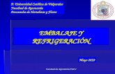 08. Clase Embalaje refrigeracion2010