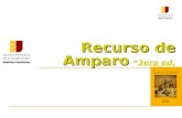 Recurso de Amparo (3era ed.)