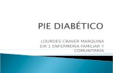(2013-02-19) REVISION DEL PIE DIABETICO (PPT)
