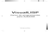Visual Lisp