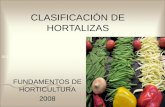 CLASIFICACIÓN DE HORTALIZAS