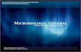 Microbiologia General: Tipos de Microorganismos