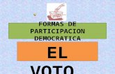 Mecanismos de particiopación ciudadana el voto