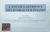 Cancer gastrico 2010