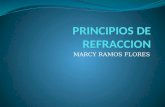 PRINCIPIOS DE REFRACCION