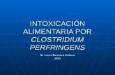 Intoxicacin Por Clostridium 1214858860720018 9