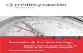 Prácticas de pago y uso del crédito comercial en España