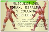 Musculos Del Torax, Espalda Y Columna Vertebral