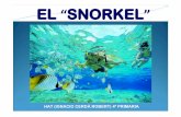 Snorkel. Hat, 4rt primària | 16/03/11