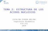 2.1 Estructura de los Acido Nucleicos