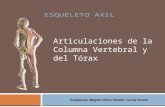 7.) Articulaciones de la Columna Vertebral y del Tórax - Prof. Magalis Pérez