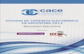 Resumen: Estudio Anual de Comercio electrónico 2013- CACE