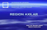 6.) Región Axilar y Deltoidea - Prof. María Lüdert