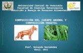 Composicion Del Cuerpo Animal 2011