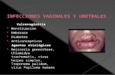 infeciones genitatales2