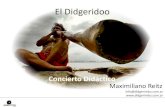 Didgeridoo Concierto Didactico