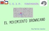 Movimiento Browniano 4º