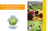 Chef Matías Palomo - Agrobiodiversidad, alimentos nativos y cultura culinaria