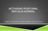 Actividad postural refleja normal
