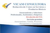 Vicam consultora empresa, profesionales y autonomos (1)
