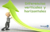 Diferencias verticales y horizontales en la organización