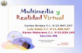 Ucv Multimedia Y Realidad Virtual 2008