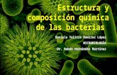 Estructura y composición química de las bacterias