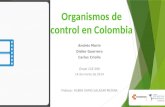 Organismos de control en Colombia