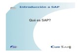 CurSAP.com - Introducción a SAP