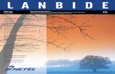Revista Lanbide 2003