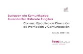 Consejo ejecutivo Promoción y Comunicación 6112008