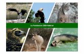 Presentacion ecoturismo y conservacion en el pno