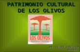 Patrimonio cultural del Distrito de Los Olivos en el Perú