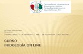 Curso Iridologia on LINE 2010 Presentacion