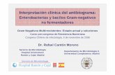 Enterobacterias No Ferment Adores Multi R Chile08
