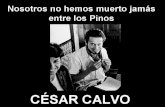 César Calvo - Nosotros no hemos muerto jamás entre los pinos - poesía en el Cusco