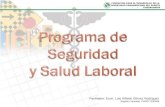 Programa de seguridad y salud laboral (pssl)