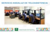 SAT * Servicio Andaluz Teleasistencia - Vicente de Diego