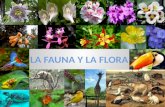 La fauna y la flora diapositivas