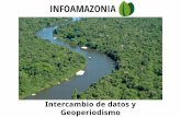 Periodismo de Datos: el caso InfoAmazonia - Webinario Claves21.com.ar