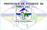 Protocolo Estudio de Familia2012