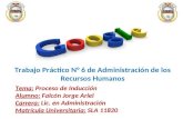 Proceso de Inducción Google Argentina - TP N° 6 Adm RR HH