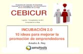 "Incubación 2.0: diez ideas para mejorar la promoción de emprendedores