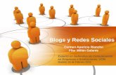 Blogs y redes sociales( Pilar Millan y Carmen Aparicio)
