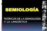 Definicion semiologia