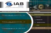 Informativo IAB Chile Noviembre 2008
