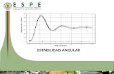 Estabilidad Angular - Herrera Klever.pptx
