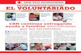 Boletin institucional el voluntariado n 13
