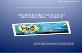 Estudo Impacto RipCurl Pro 2010