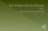 San Pedro Garza GarcíA, Nl